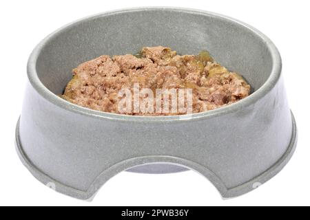 nourriture pour chiens dans un bol de repas isolé sur fond blanc Banque D'Images
