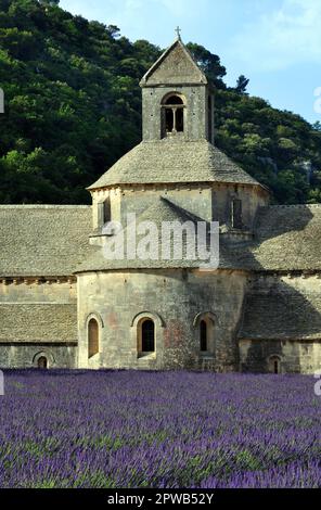 L'abbaye cistercienne de Sénanque à Gordes est l'une des 3 sœurs de Provence avec Sylvacane et le Thoronet Banque D'Images