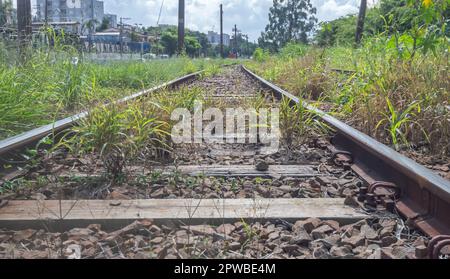 Piste de train abandonnée avec végétation dominant le territoire, jour ensoleillé. Banque D'Images