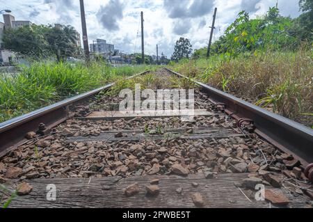 Piste de train abandonnée avec végétation dominant le territoire, jour ensoleillé. Banque D'Images