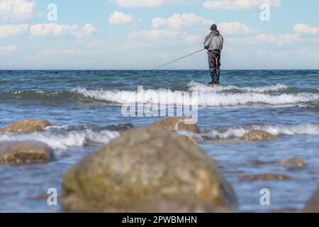 Un pêcheur à la ligne dans un pantalon imperméable pêche dans la mer Baltique. Il est debout sur une pierre dans l'eau - coucher de soleil sur la mer Baltique avec un pêcheur solitaire Banque D'Images