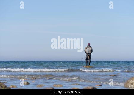 Un pêcheur à la ligne dans un pantalon imperméable pêche dans la mer Baltique. Il est debout sur une pierre dans l'eau - coucher de soleil sur la mer Baltique avec un pêcheur solitaire Banque D'Images