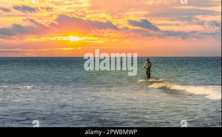 Un pêcheur à la ligne dans un pantalon imperméable pêche dans la mer Baltique. Il est debout sur une pierre dans l'eau - coucher de soleil sur la mer Baltique avec un pêcheur solitaire Banque D'Images