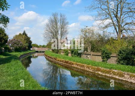 La rivière New près de Winchmore Hill, dans le nord de Londres, au printemps Banque D'Images