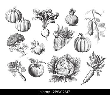 Collection de légumes croquis dessiné à la main Illustration vectorielle Veg Illustration de Vecteur