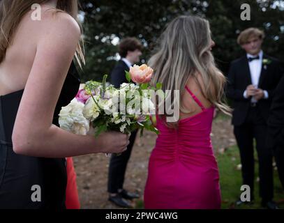 Marietta, Géorgie, États-Unis. 28th avril 2023. Les étudiants de l'école secondaire Marietta, vêtus de leur plus beau costume formel, se réunissent avant une photographie de classe le soir de leur bal annuel. (Credit image: © Robin Rayne/ZUMA Press Wire) USAGE ÉDITORIAL SEULEMENT! Non destiné À un usage commercial ! Banque D'Images