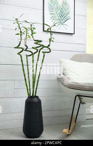 Vase avec tiges en bambou vert et élégant fauteuil à bascule dans la chambre. Design intérieur Banque D'Images