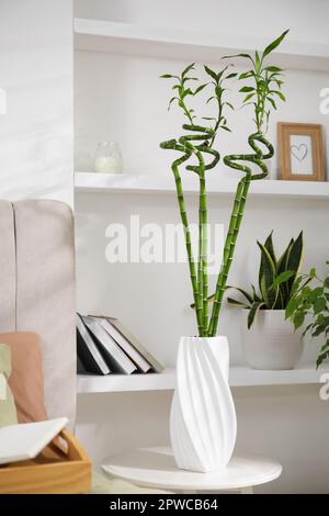 Vase avec tiges en bambou vert sur la table dans la chambre Banque D'Images