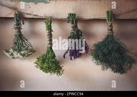 Des lapins de différentes belles fleurs séchées accrochées sur la corde près du mur beige Banque D'Images