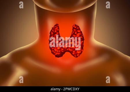 Illustration de la glande thyroïde humaine sur fond de couleur Banque D'Images