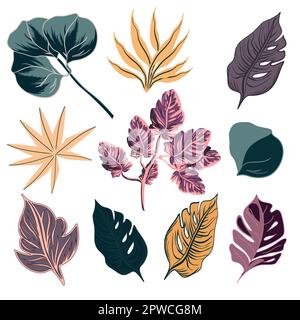 Ensemble de feuilles exotiques tropicales illustration vectorielle Illustration de Vecteur