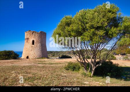 Torre de Cala Pi, tour de guet médiévale sur la côte, Cala Pi, Majorque, Îles Baléares, Espagne Banque D'Images