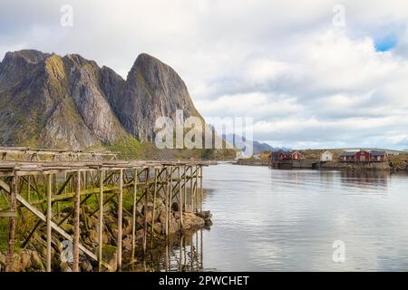 Séchoirs pour poissons et huttes rouges traditionnelles de rorbuer dans le village de pêcheurs de Reine, îles Lofoten, Norvège Banque D'Images