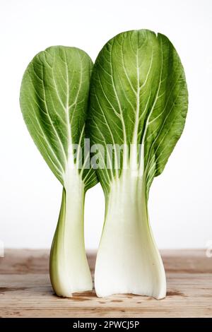 Feuilles fraîchement lavées de pak choi, chou moutarde chinois Banque D'Images