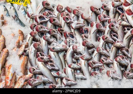 Poisson fraîchement pêché dans un marché d'Istanbul, Turquie Banque D'Images