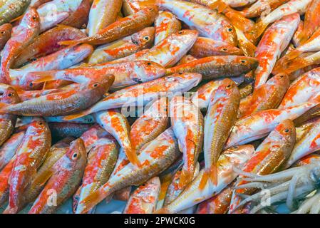 Mulets rouges à vendre sur un marché de Palerme, Sicile Banque D'Images