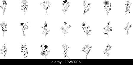 Fleurs et brindilles de prairie, branches d'arbre, herbes d'été, ensemble vectoriel. Collection de fleurs, d'herbes, de brindilles et de brindilles dessinées à la main. Cornouiller, saule, trèfle, baies, branche d'olive, graminées Illustration de Vecteur