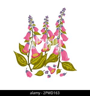 Fleurs de renfgant roses isolées sur fond blanc. Illustration de Vecteur