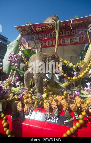 Les singes aiment manger des fruits locaux, légumes, salade, œufs, dessert qui amènent les gens à remercier dans le festival de fête de singe à Phra Prang Sam Yot. Banque D'Images