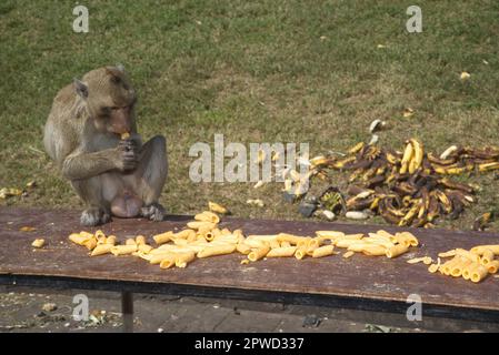 Les singes aiment manger des fruits locaux, légumes, salade, œufs, dessert qui amènent les gens à remercier dans le festival de fête de singe à Phra Prang Sam Yot. Banque D'Images