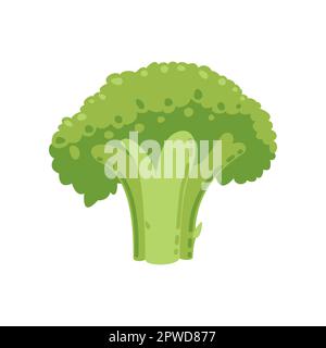 Illustration de brocoli vert frais pour enfants Illustration de Vecteur