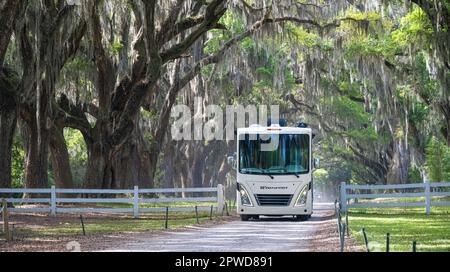 Camping camping-car sur une allée couverte d'arbres de chênes anciens vivants et de mousse espagnole au site historique de Wormsloe à Savannah, Géorgie. (ÉTATS-UNIS) Banque D'Images