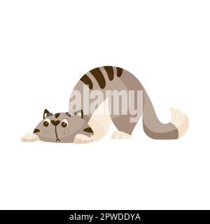 Illustration de dessin animé cachant ou en attente de chat de bande dessinée mignon Illustration de Vecteur