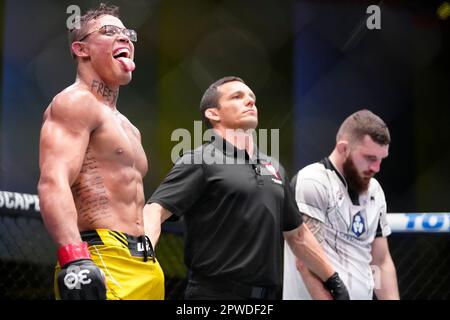 29 avril 2023, Las Vegas, Nevada, LAS VEGAS, NV, Etats-Unis: LAS VEGAS, NV - 29 avril: Caio Borralho dans un combat MiddlewEight à UFC Apex pour la nuit de combat UFC - Song v Simon on 29 avril 2023 à Las Vegas, NV, Etats-Unis. (Credit image: © Louis Grasse/PX Imagens via ZUMA Press Wire) USAGE ÉDITORIAL SEULEMENT! Non destiné À un usage commercial ! Crédit : ZUMA Press, Inc./Alay Live News Banque D'Images