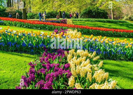 LISSE, HOLLANDE - 19 AVRIL 2023 : les visiteurs apprécient les tulipes en fleurs dans le parc de Keukenhof, l'un des plus grands jardins fleuris du monde Banque D'Images