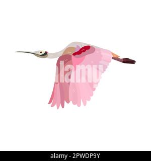 Roseate spoonbill et oiseau tropical lumineux Illustration de Vecteur