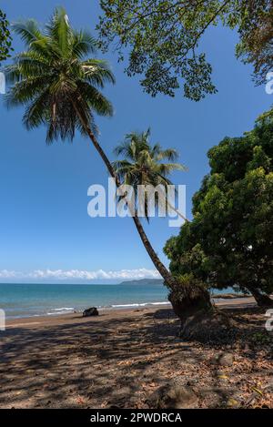 Plage de sable de la petite ville de Drake Bay, Puntarenas, Costa Rica Banque D'Images