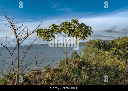 Plage de sable de la petite ville de Drake Bay, Puntarenas, Costa Rica Banque D'Images