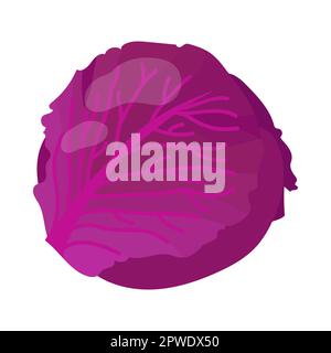 Illustration de la bande dessinée de chou violet enrichie en vitamine A. Illustration de Vecteur