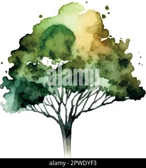 Aquarelle arbre main dessiner vecteur nature peinture Illustration de Vecteur