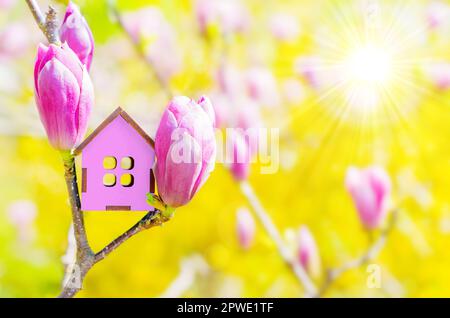 Maison rose jouet nichée parmi les fleurs roses magnolia dans un jardin avec le soleil brillant dans le coin supérieur droit. Déménagement dans une maison de rêve à sp Banque D'Images