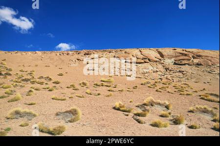 Formations rocheuses massives avec plantes Ichu dans le désert de Siloli, Altiplano bolivien, Bolivie, Amérique du Sud Banque D'Images