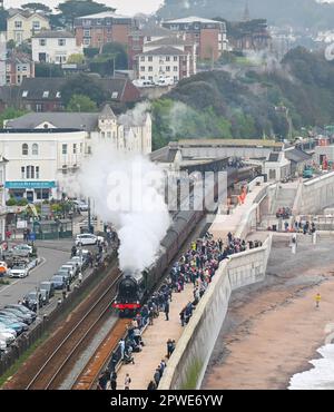 Dawlish, Devon, Royaume-Uni. 30th avril 2023. Les passionnés de vapeur bordent le mur de mer comme no.60103. Les Flying Scotsman se dispute à Dawlish, dans le Devon, en direction de Plymouth, sur le chemin de Cornwall, lors des célèbres festivités du centenaire des locomotives à vapeur. Crédit photo : Graham Hunt/Alamy Live News Banque D'Images