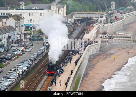 Dawlish, Devon, Royaume-Uni. 30th avril 2023. Les passionnés de vapeur bordent le mur de mer comme no.60103. Les Flying Scotsman se dispute à Dawlish, dans le Devon, en direction de Plymouth, sur le chemin de Cornwall, lors des célèbres festivités du centenaire des locomotives à vapeur. Crédit photo : Graham Hunt/Alamy Live News Banque D'Images