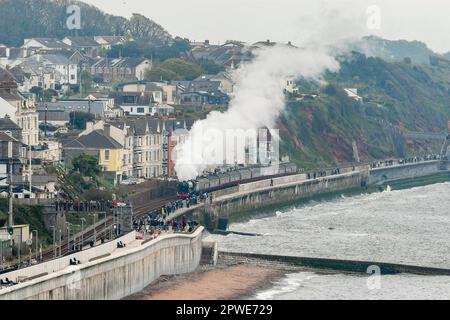 Dawlish, Devon, Royaume-Uni. 30th avril 2023. Les passionnés de vapeur bordent le mur de mer comme no.60103. Les Flying Scotsman se dispute à Dawlish, dans le Devon, en direction de Plymouth, sur le chemin de Cornwall, lors des célèbres festivités du centenaire des locomotives à vapeur. Crédit photo : Graham Hunt/Alamy Live News Banque D'Images