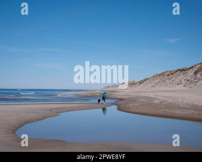 Spaziergänger am Meer, Spaziergänger mit Hund am Meer, Walkers au bord de la mer, marcheurs avec le chien au bord de la mer Banque D'Images