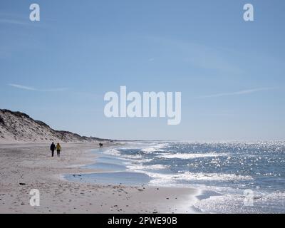 Spaziergänger an der Nordsee à Westjütland, Walkers au bord de la mer du Nord dans le Jutland occidental Banque D'Images