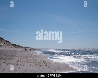 Spaziergänger an der Nordsee à Westjütland, Walkers au bord de la mer du Nord dans le Jutland occidental Banque D'Images