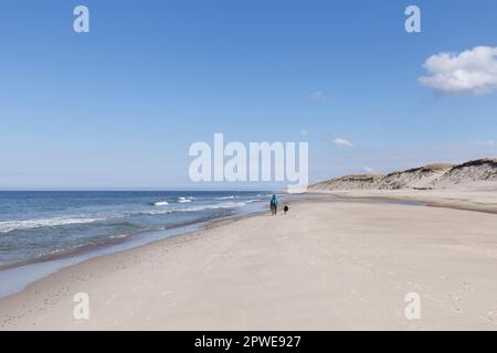 Spaziergänger am Meer, Spaziergänger mit Hund am Meer, Walkers au bord de la mer, marcheurs avec le chien au bord de la mer Banque D'Images