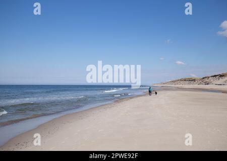 Spaziergänger am Meer, Spaziergänger mit Hund am Meer, Walkers au bord de la mer, marcheurs avec le chien au bord de la mer Banque D'Images