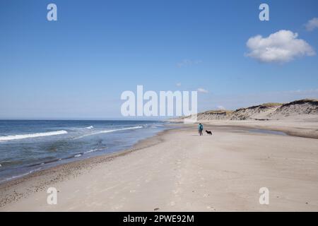 Spaziergänger am Meer, Spaziergänger mit Hund am Meer, Walkers au bord de la mer, marcheurs avec le chien au bord de la mer Banque D'Images