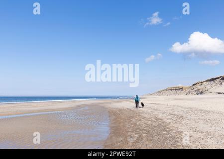 Spaziergänger am Meer, Spaziergänger mit Hund am Meer, Walkers au bord de la mer, marcheurs avec le chien au bord de la mer Banque D'Images