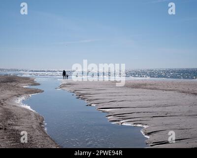 Spaziergänger am Meer, Spaziergänger mit Hund am Meer, Walkers au bord de la mer, marcheurs avec le chien au bord de la mer Banque D'Images