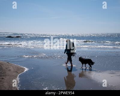 Spaziergänger am Meer, Spaziergänger mit Hund am Meer, Walkers au bord de la mer, marcheurs avec le chien au bord de la mer Banque D'Images