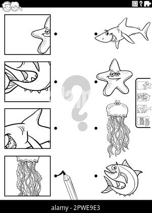 Dessin animé noir et blanc illustration du jeu éducatif correspondant avec des personnages d'animaux marins et des images coupures page de coloriage Illustration de Vecteur