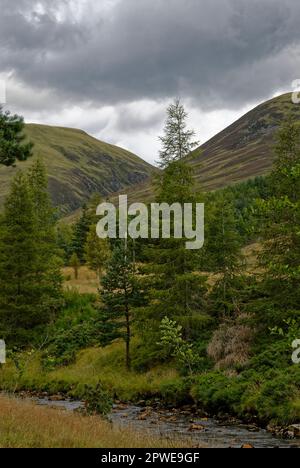 En regardant de la rivière South Esk jusqu'à Dog Hillock et le ravin que Moulzie brûlent, les collines escarpées descendent sur le fond de la vallée Banque D'Images